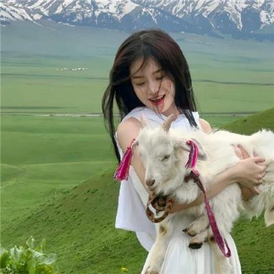 哥吉拉×机械哥吉拉